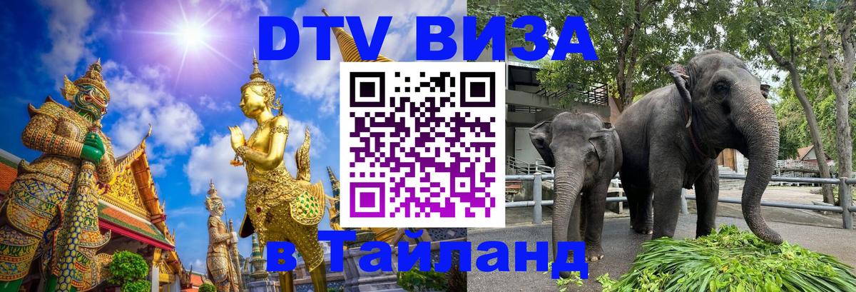 Оформление DTV визы под ключ: стоимость и тарифы, только загранпаспорт - 19.11.2025 